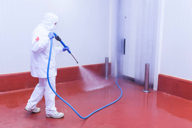 Best Playground Equipment Cleaning  in Ocoee, FL